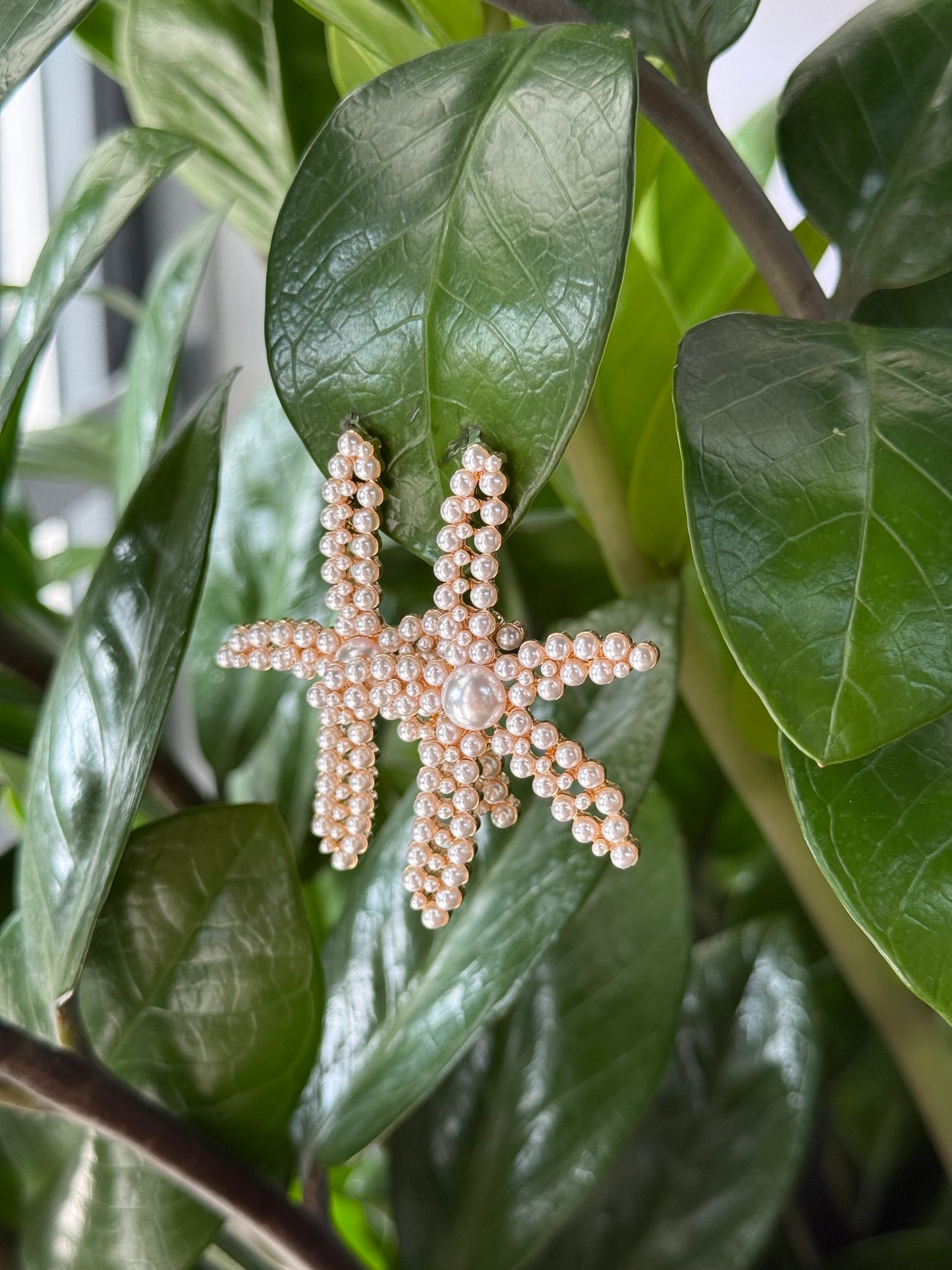 Pearl Star Earrings