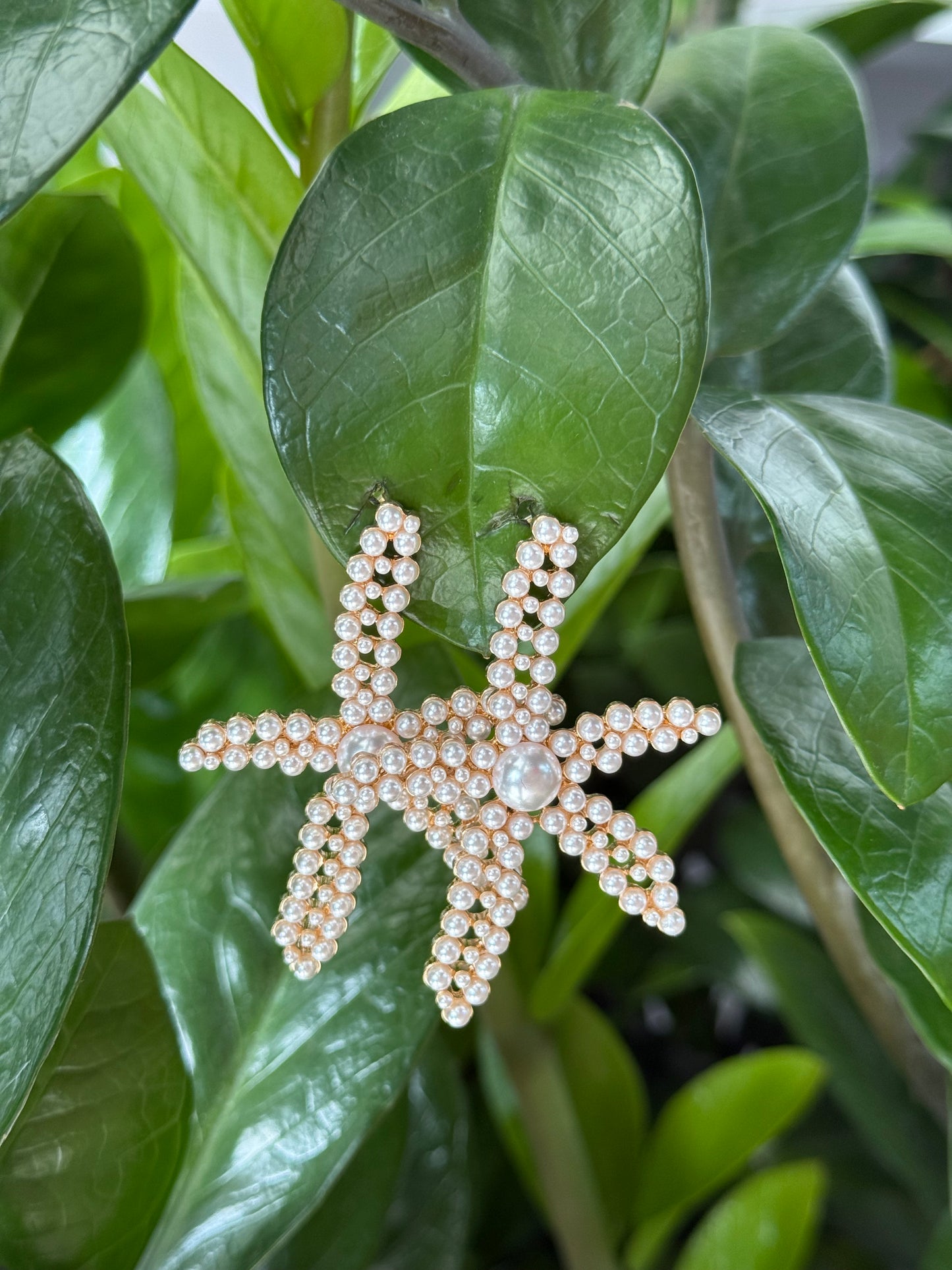 Pearl Star Earrings