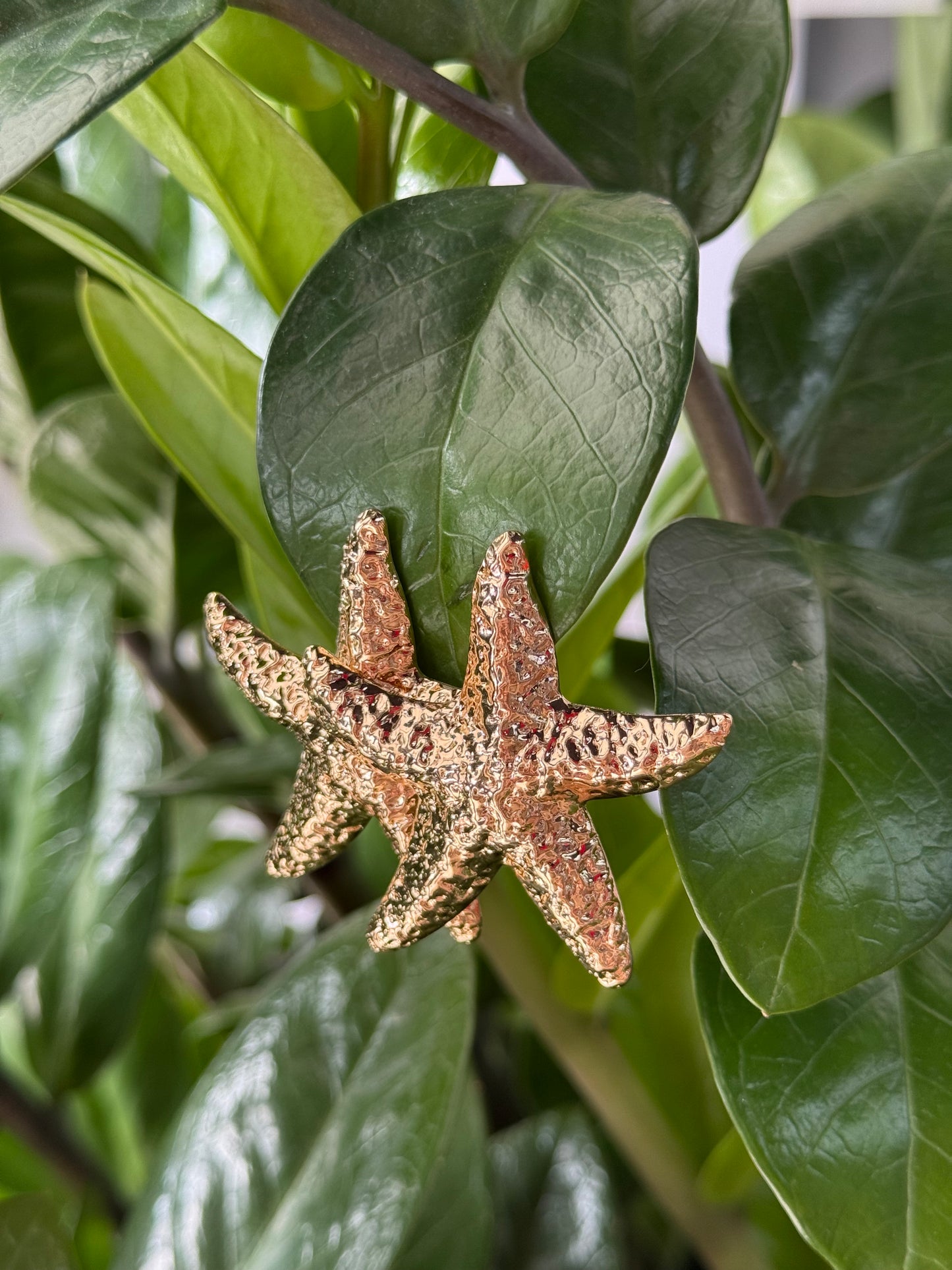 Golden Sea Star