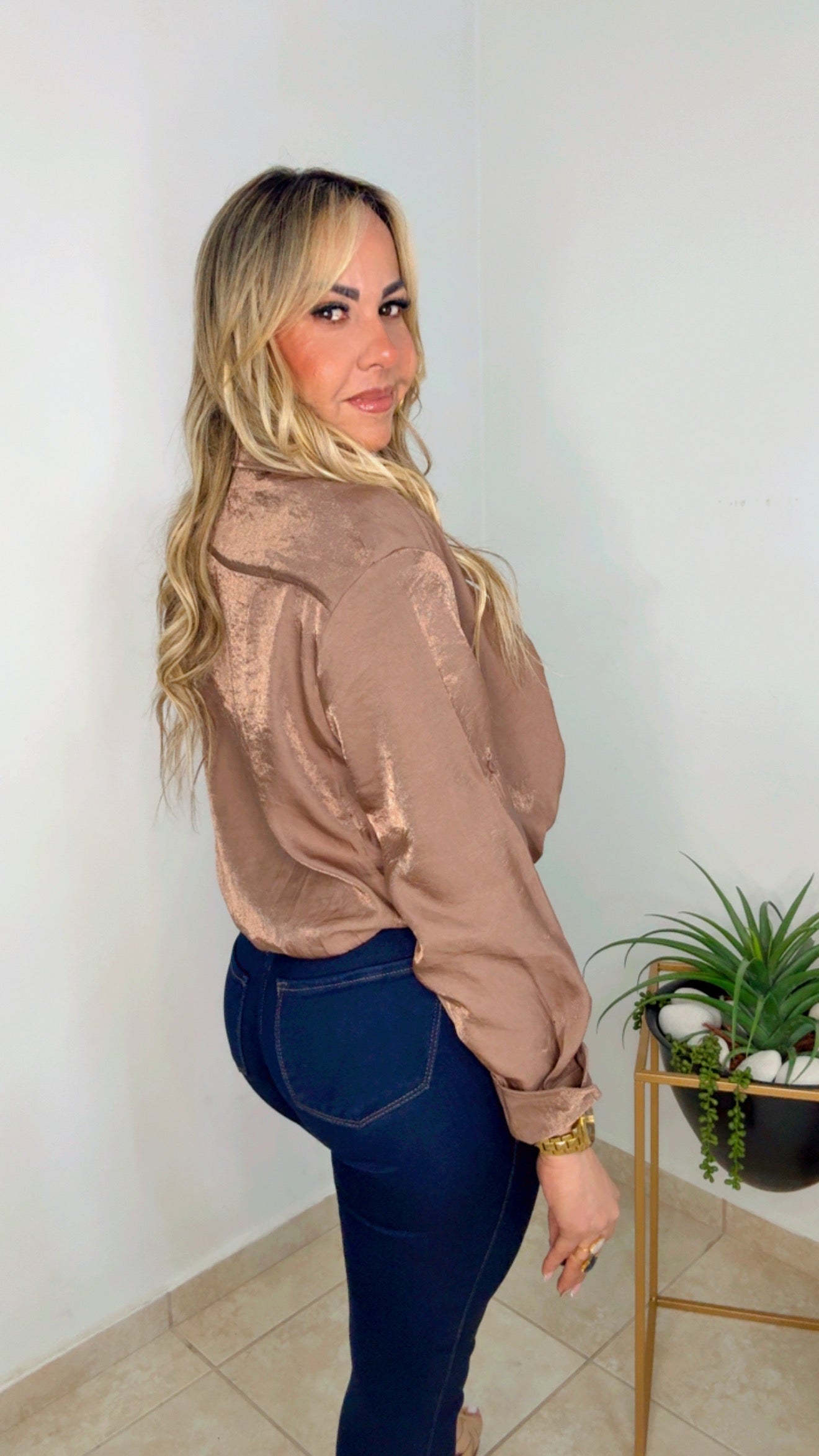 Taupe Elegant Blouse