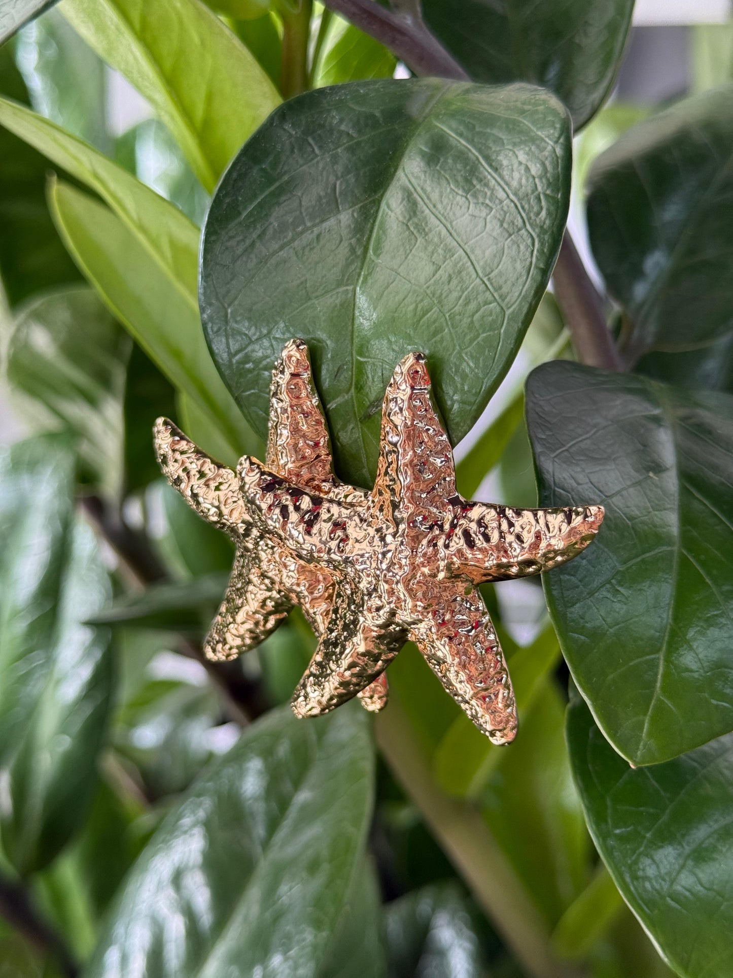 Golden Sea Star