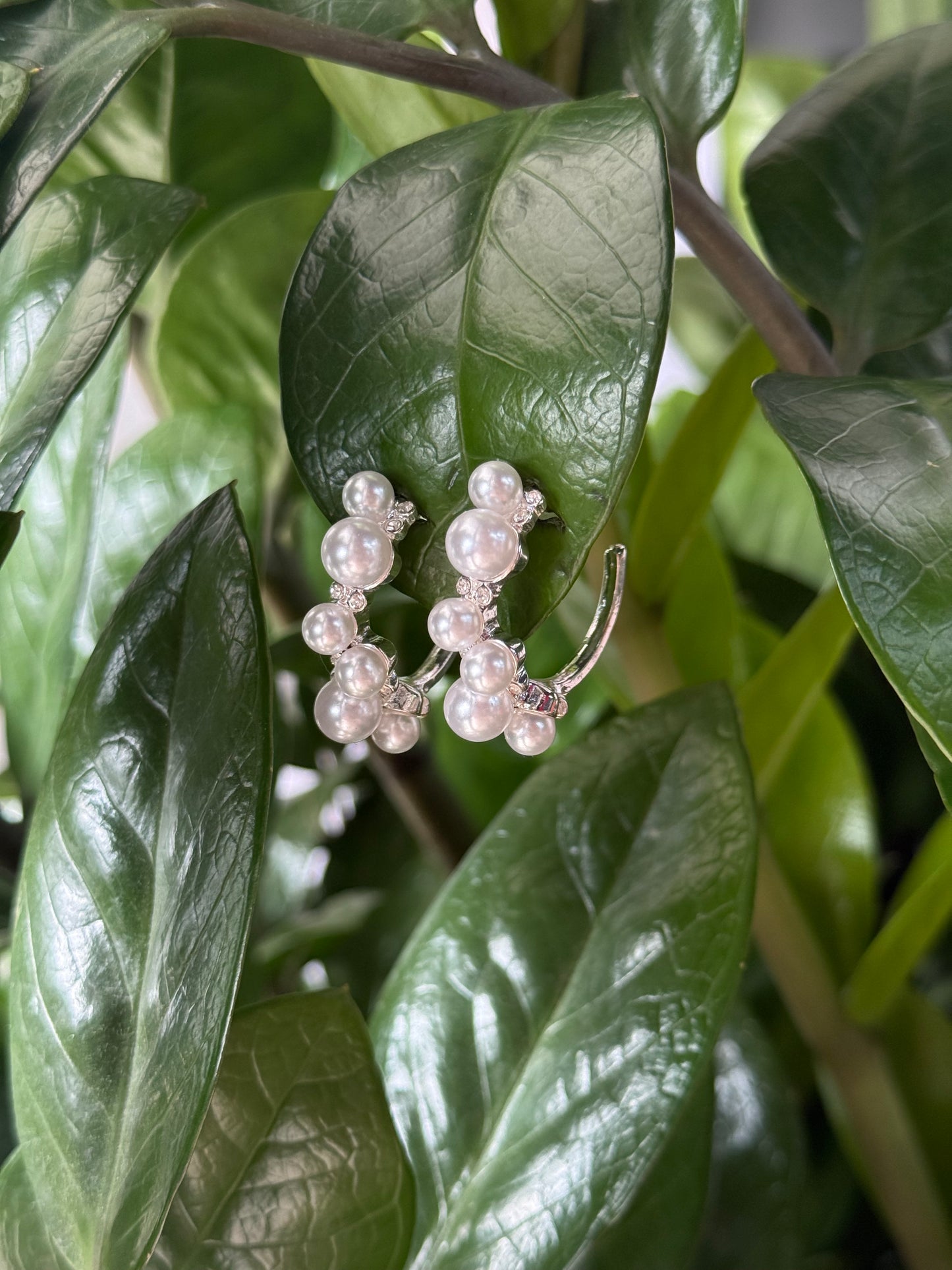 Silver Pearls Earrings