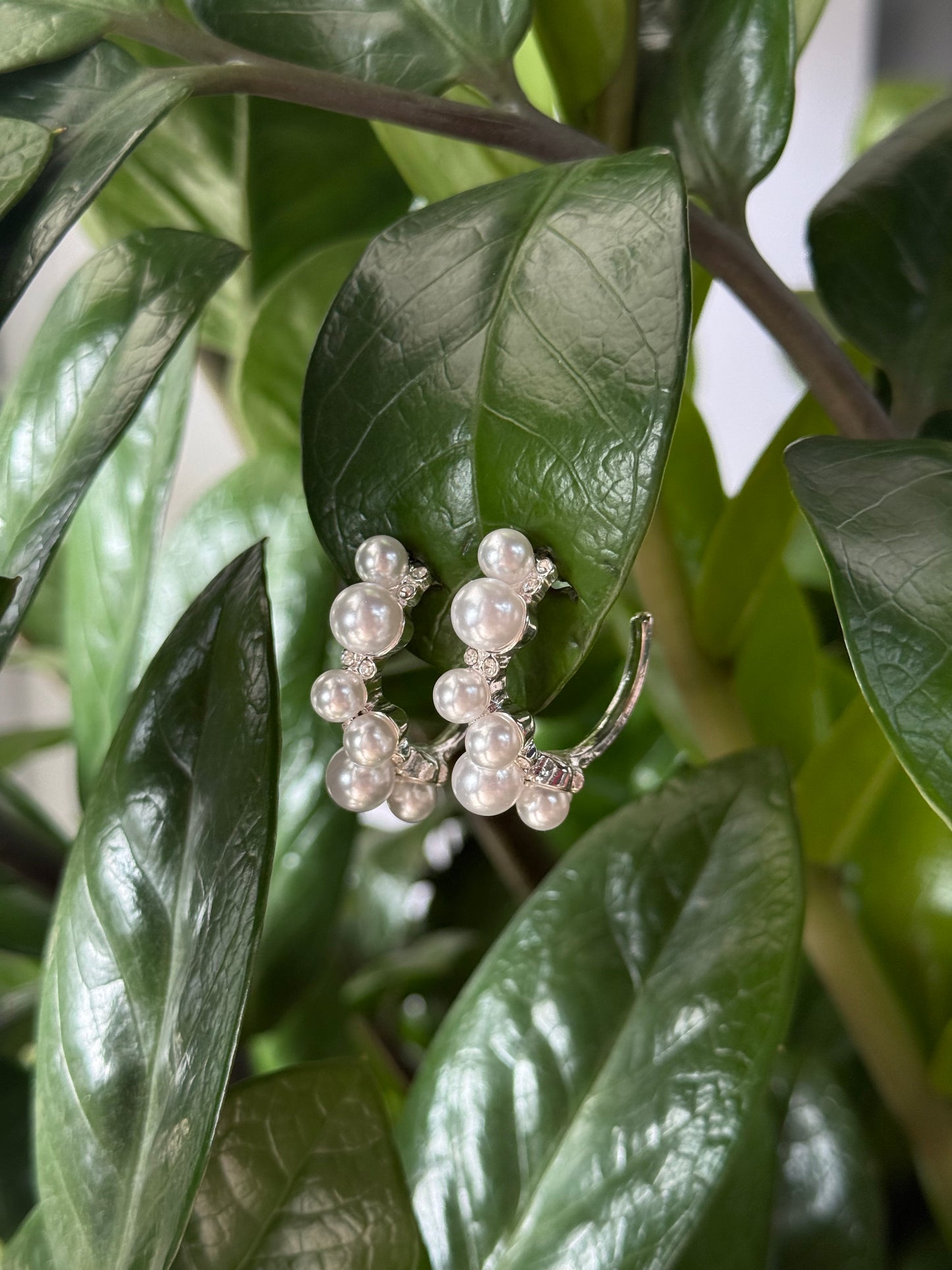 Silver Pearls Earrings