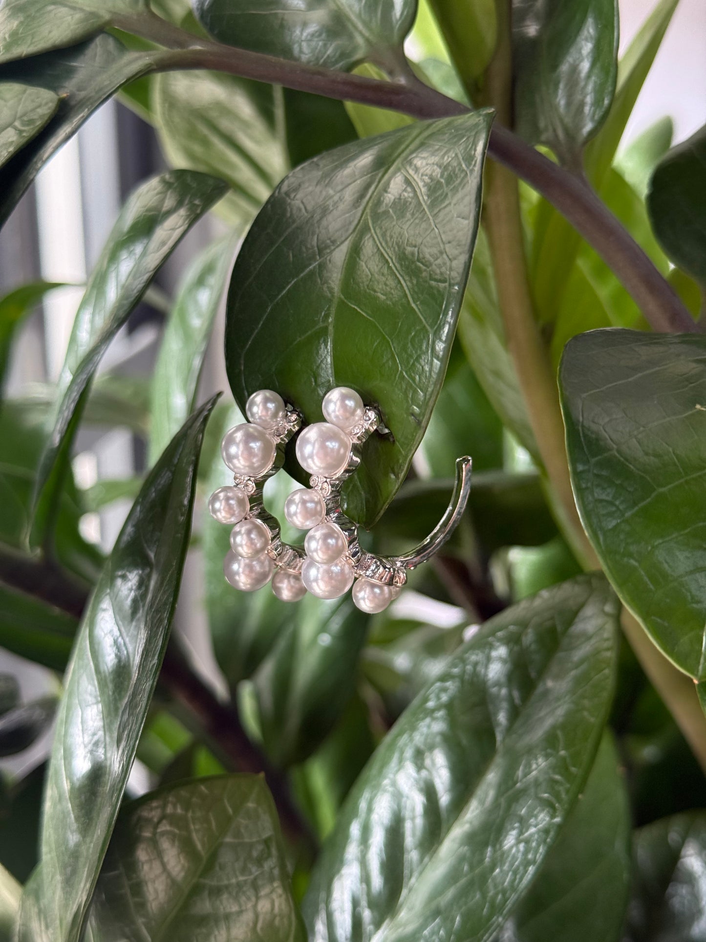 Silver Pearls Earrings