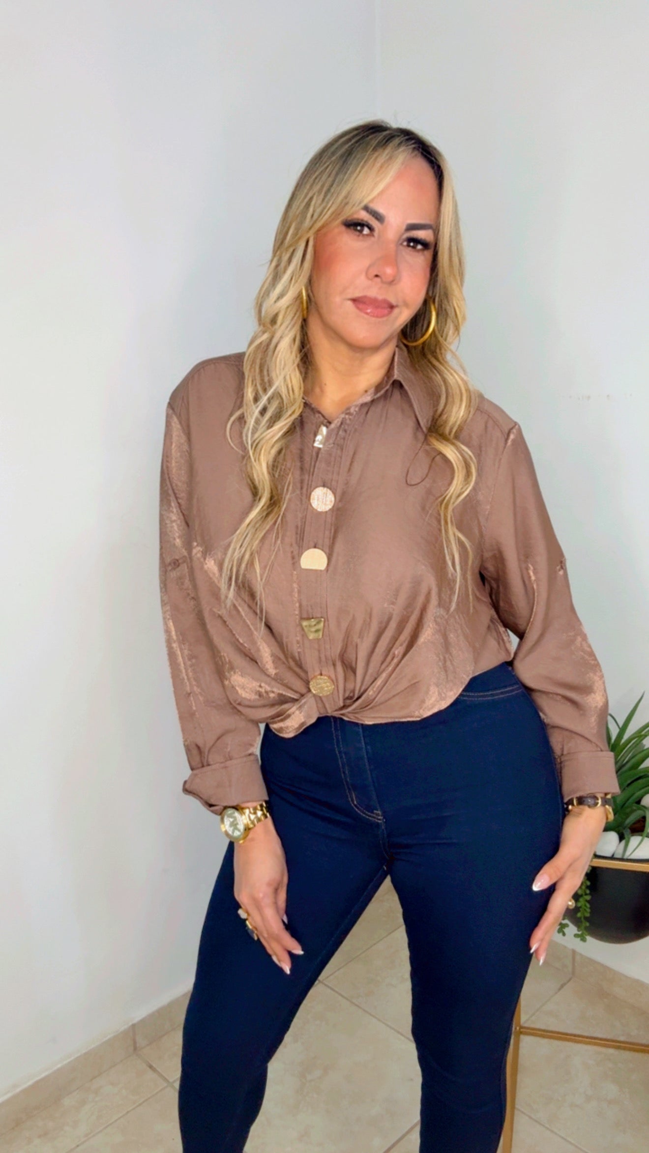 Taupe Elegant Blouse